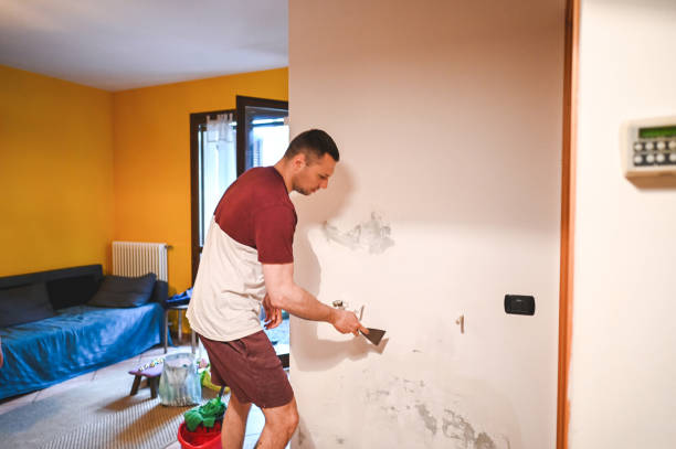  East Rutherford, NJ Mold Removal Pros