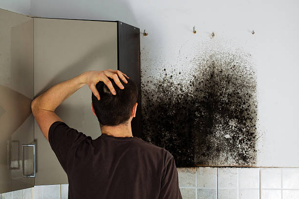 Best Crawl Space Mold Removal  in East Rutherford, NJ